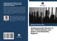 Aufkommende Muster in den Haftanstalten von Awka und Abakaliki, Nigeria kitap kapağı