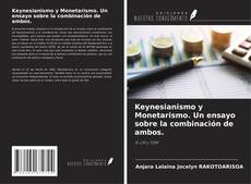 Buchcover von Keynesianismo y Monetarismo. Un ensayo sobre la combinación de ambos.