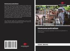 Bookcover of Immunocastration