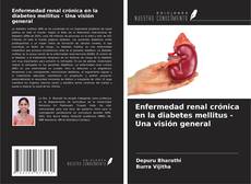 Portada del libro de Enfermedad renal crónica en la diabetes mellitus - Una visión general