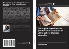 Capa do livro de De la propagación a la producción: Estudios in vitro sobre Gloriosa superba 