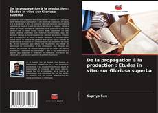 Bookcover of De la propagation à la production : Études in vitro sur Gloriosa superba