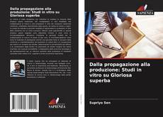 Bookcover of Dalla propagazione alla produzione: Studi in vitro su Gloriosa superba