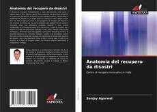 Bookcover of Anatomia del recupero da disastri