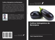 Capa do livro de Cultivo hidropónico de Berenjena 