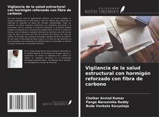 Buchcover von Vigilancia de la salud estructural con hormigón reforzado con fibra de carbono