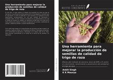 Couverture de Una herramienta para mejorar la producción de semillas de calidad de trigo de raza