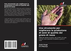 Bookcover of Uno strumento per migliorare la produzione di semi di qualità del grano di razza