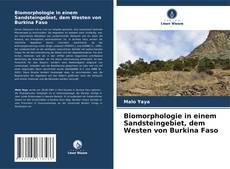 Buchcover von Biomorphologie in einem Sandsteingebiet, dem Westen von Burkina Faso