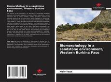 Copertina di Biomorphology in a sandstone environment, Western Burkina Faso