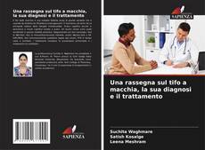 Bookcover of Una rassegna sul tifo a macchia, la sua diagnosi e il trattamento