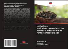 Portada del libro de Inclusions multidirectionnelles : Un nouveau mécanisme de renforcement du sol