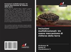 Bookcover of Inclusioni multidirezionali: Un nuovo meccanismo di rinforzo della terra