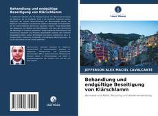 Portada del libro de Behandlung und endgültige Beseitigung von Klärschlamm