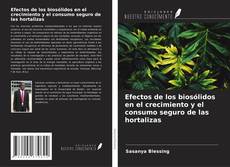 Capa do livro de Efectos de los biosólidos en el crecimiento y el consumo seguro de las hortalizas 