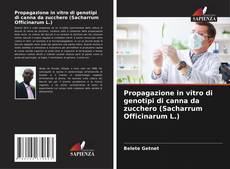 Capa do livro de Propagazione in vitro di genotipi di canna da zucchero (Sacharrum Officinarum L.) 