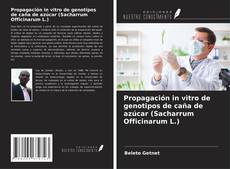 Capa do livro de Propagación in vitro de genotipos de caña de azúcar (Sacharrum Officinarum L.) 