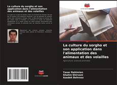 Couverture de La culture du sorgho et son application dans l'alimentation des animaux et des volailles