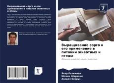 Borítókép a  Выращивание сорго и его применение в питании животных и птицы - hoz