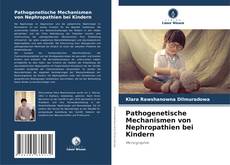 Pathogenetische Mechanismen von Nephropathien bei Kindern kitap kapağı