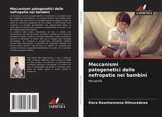 Meccanismi patogenetici delle nefropatie nei bambini的封面