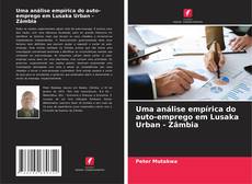 Bookcover of Uma análise empírica do auto-emprego em Lusaka Urban - Zâmbia