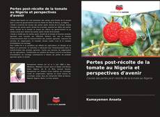 Pertes post-récolte de la tomate au Nigeria et perspectives d'avenir kitap kapağı