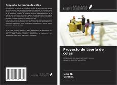 Bookcover of Proyecto de teoría de colas