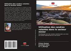 Utilisation des cendres volantes dans le secteur minier kitap kapağı