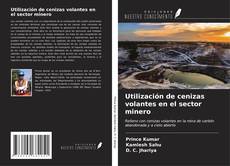 Bookcover of Utilización de cenizas volantes en el sector minero