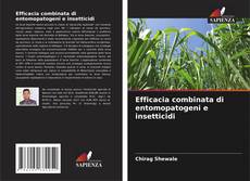 Efficacia combinata di entomopatogeni e insetticidi kitap kapağı