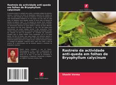 Bookcover of Rastreio da actividade anti-queda em folhas de Bryophyllum calycinum