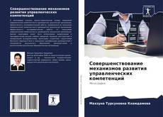 Совершенствование механизмов развития управленческих компетенций kitap kapağı