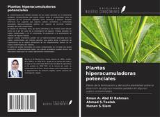 Plantas hiperacumuladoras potenciales kitap kapağı