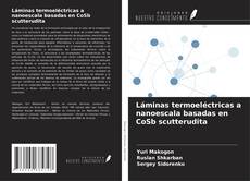 Bookcover of Láminas termoeléctricas a nanoescala basadas en CoSb scutterudita