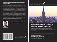 Bookcover of Análisis numérico de los miembros compuestos