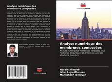 Analyse numérique des membrures composées kitap kapağı