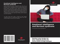 Copertina di Emotional intelligence and Burnout syndrome