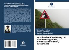 Qualitative Kartierung der Steinschlaggefahr, Siddhababa-Gebiet, Westnepal kitap kapağı