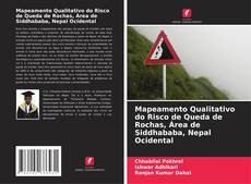 Portada del libro de Mapeamento Qualitativo do Risco de Queda de Rochas, Área de Siddhababa, Nepal Ocidental