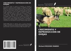 Bookcover of CRECIMIENTO Y REPRODUCCIÓN DE OVEJAS