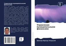 Bookcover of Управление муниципальными финансами