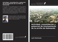 Bookcover of Actividad, consolidación y potencial de hinchamiento de la arcilla de Katmandú