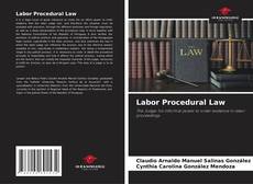 Bookcover of Labor Procedural Law