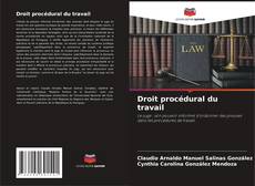 Bookcover of Droit procédural du travail