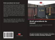 Droit procédural du travail的封面