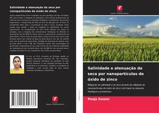Обложка Salinidade e atenuação da seca por nanopartículas de óxido de zinco