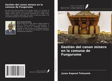 Buchcover von Gestión del canon minero en la comuna de Fungurume