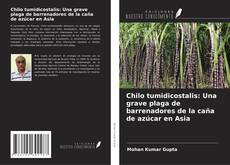 Portada del libro de Chilo tumidicostalis: Una grave plaga de barrenadores de la caña de azúcar en Asia