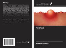 Pénfigo kitap kapağı